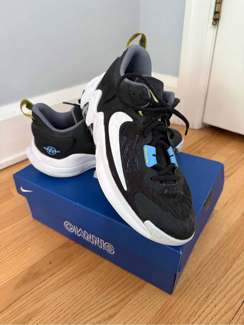 Nike Kids Black, White & Blue Giannis Basketball Sneakers